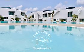 Casa Domino